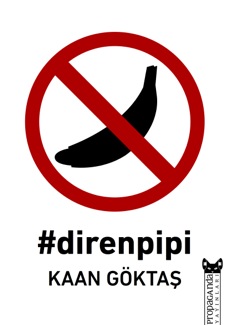 direnpipi_kapak